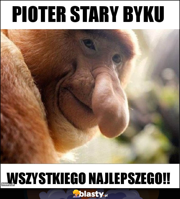 Pioter stary byku