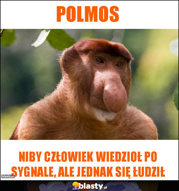 POLMOS