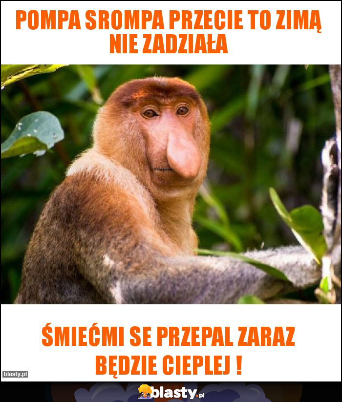 Pompa srompa przecie to zimą nie zadziała