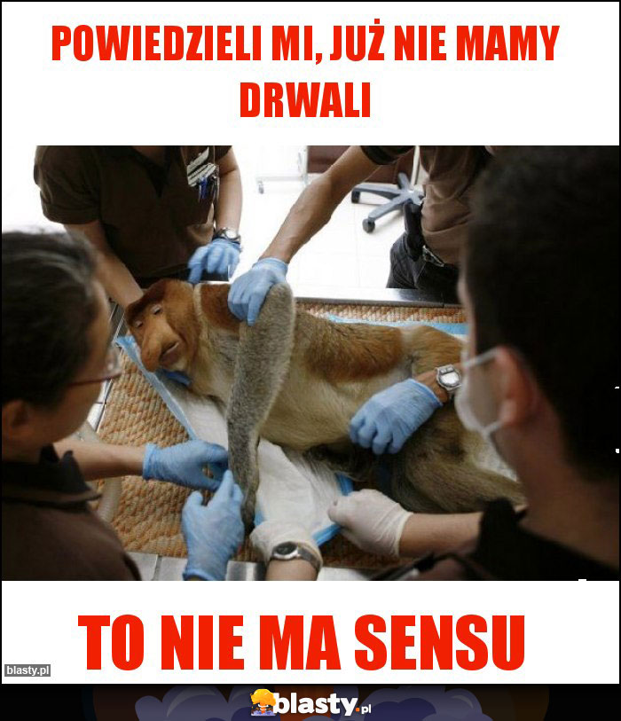 Powiedzieli mi, już nie mamy Drwali