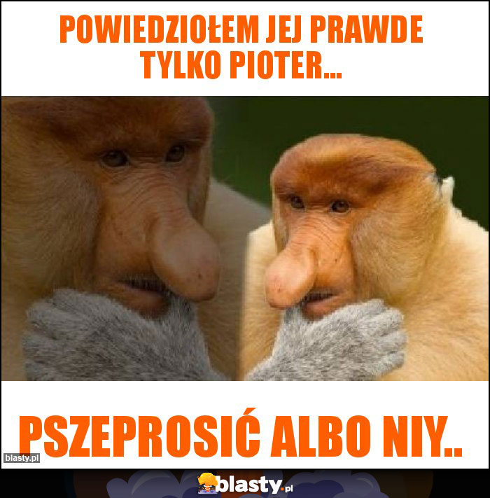 POWIEDZIOŁEM JEJ PRAWDE TYLKO PIOTER...