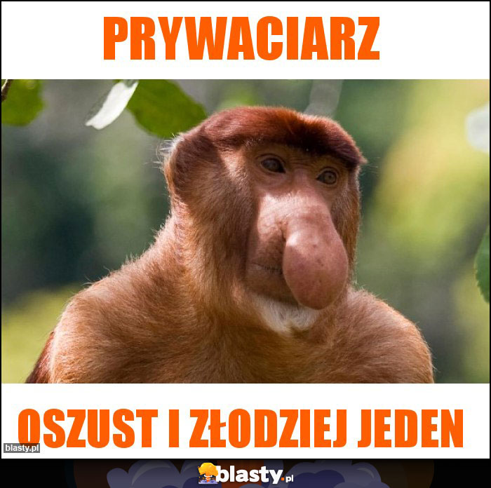 PRYWACIARZ