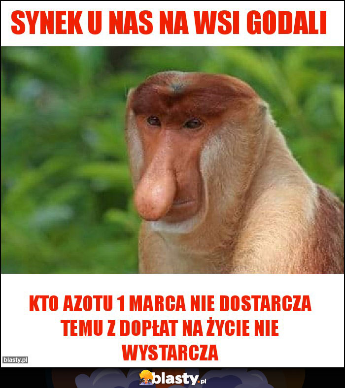 Synek u nas na wsi godali