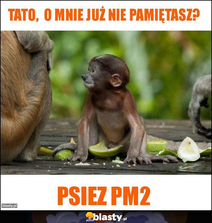 Tato,  o mnie już nie pamiętasz?