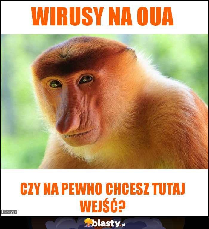 Wirusy na OUA