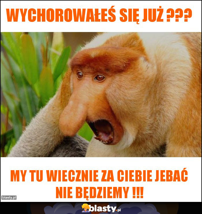 Wychorowałeś się już ???