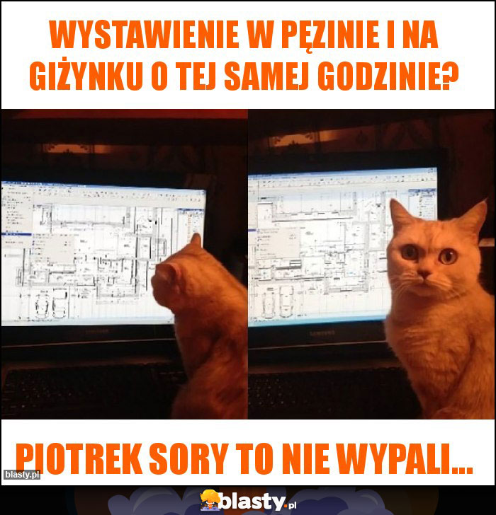 Wystawienie w Pęzinie i na Giżynku o tej samej godzinie?