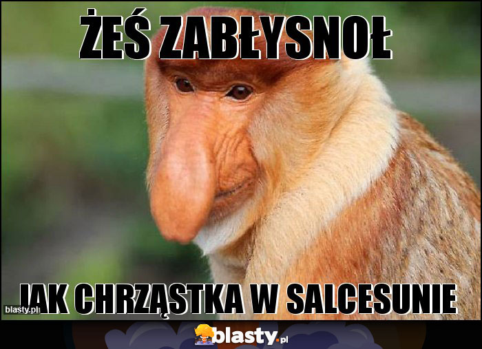 żeś zabłysnoł