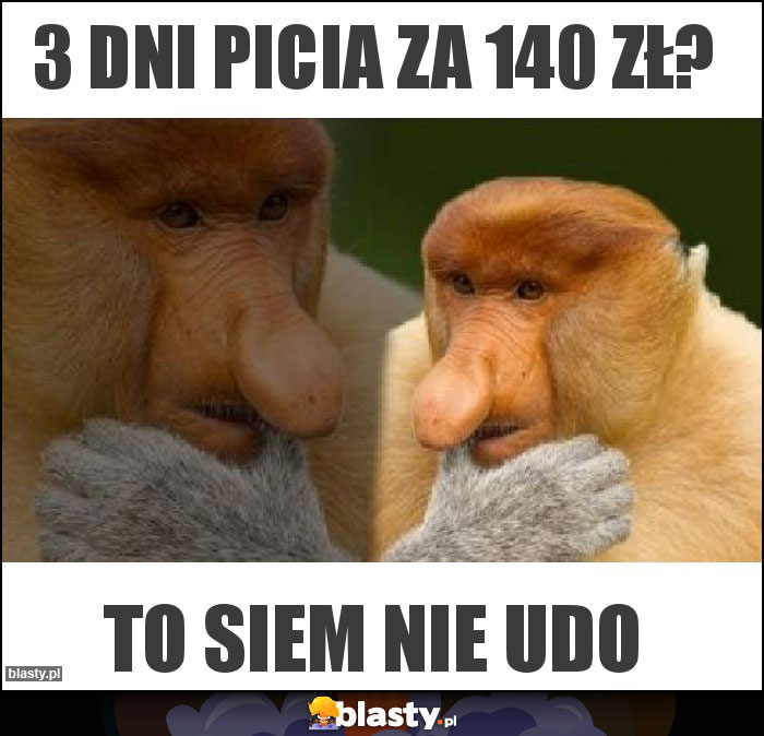 3 dni picia za 140 zł?