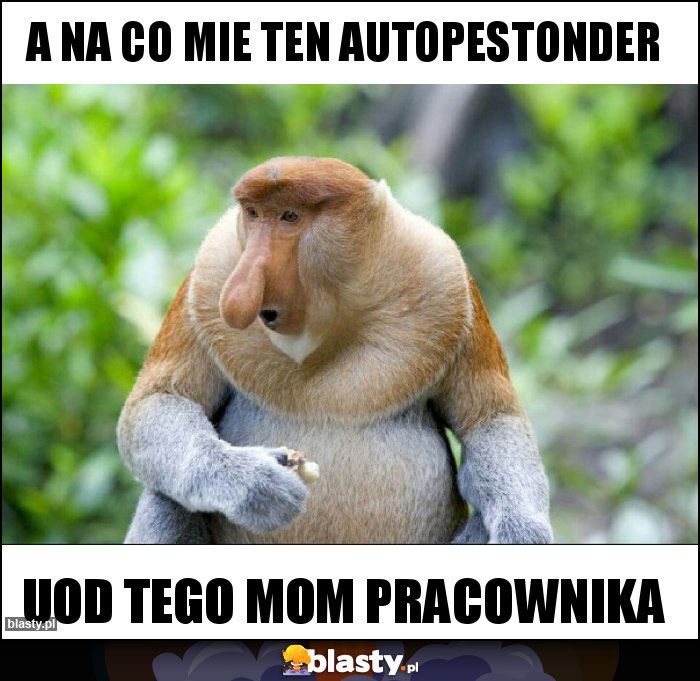 A na co mie ten autopestonder