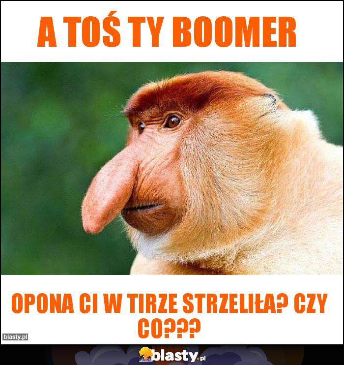 A toś Ty boomer