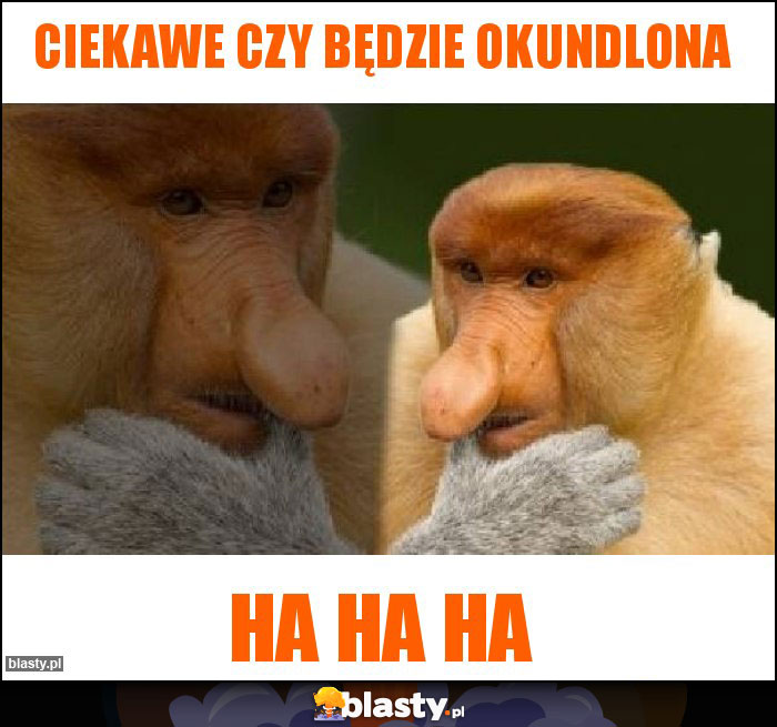 Ciekawe czy będzie okundlona