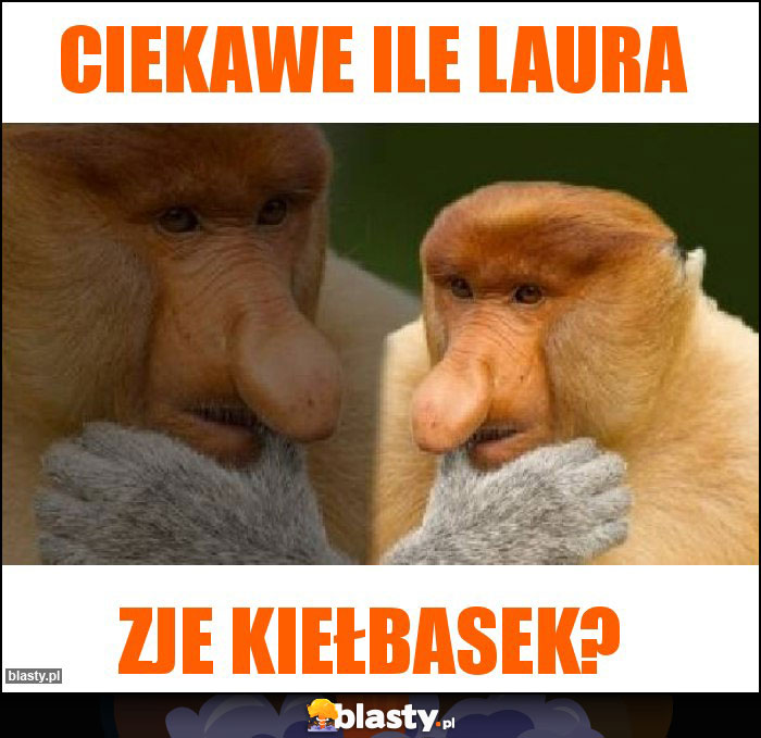 CIEKAWE ILE LAURA