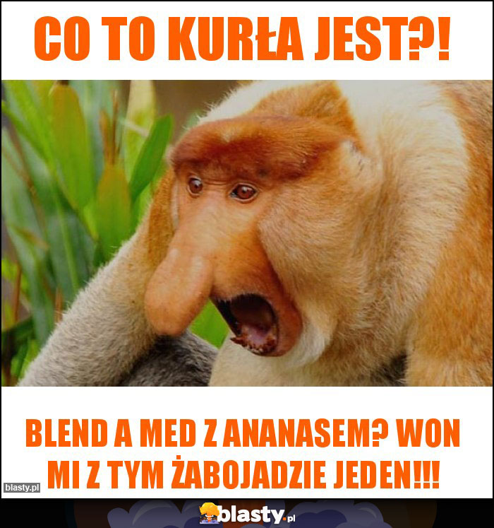 co to kurła jest?!