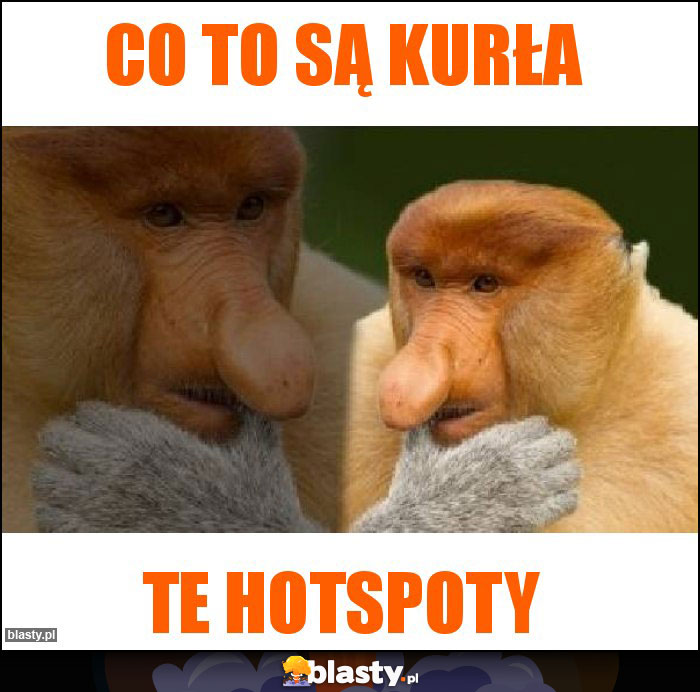 Co to są kurła