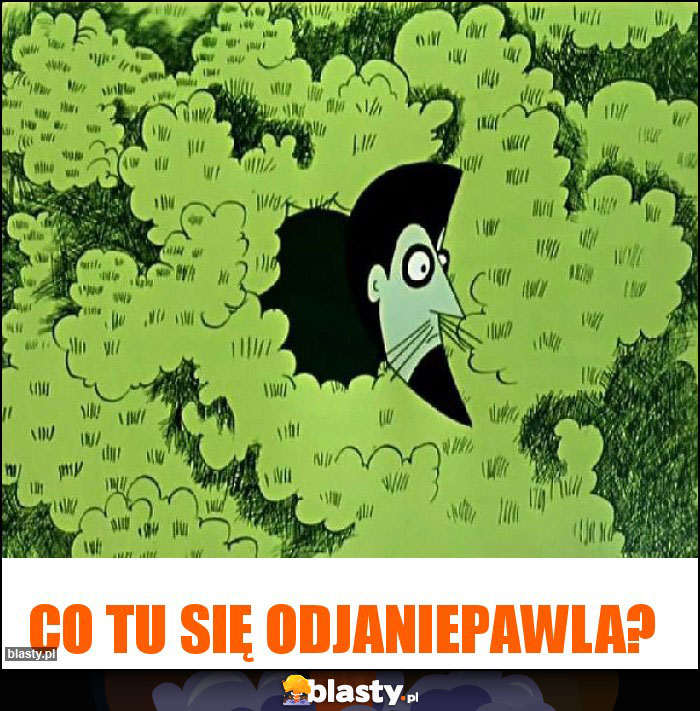 CO tu się odjaniepawla?