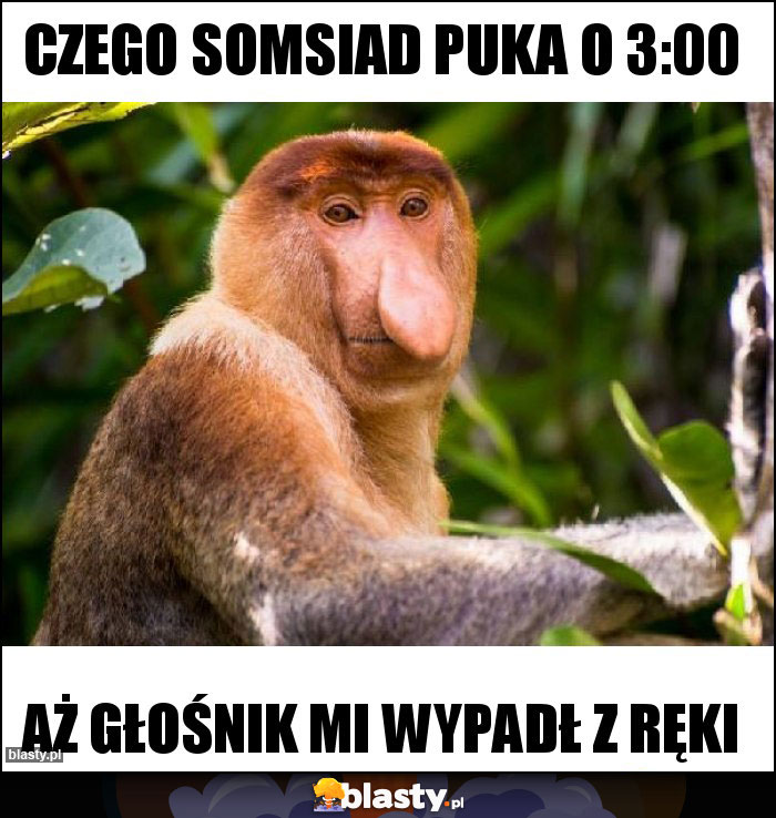 Czego somsiad puka o 3:00