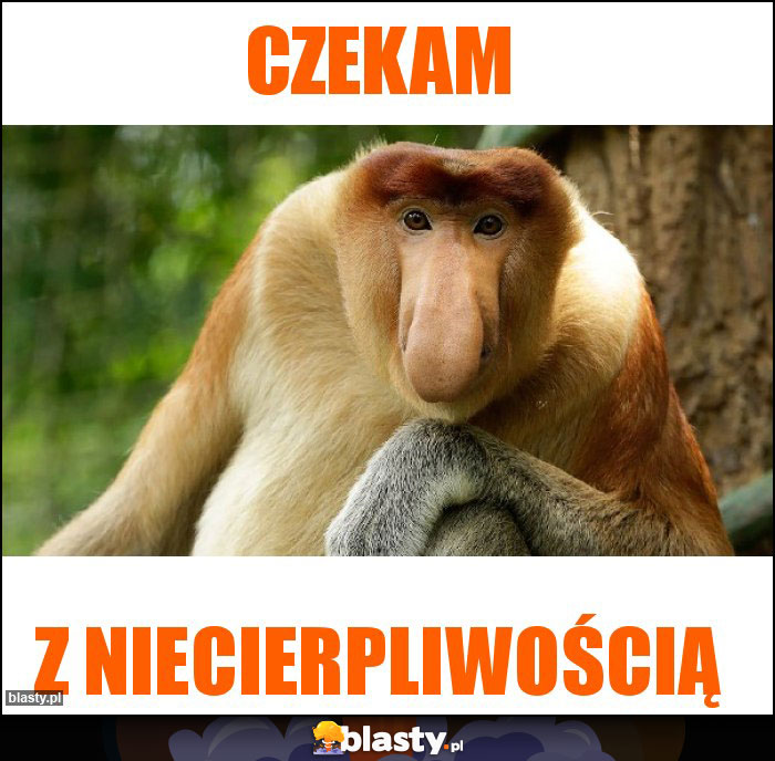 Czekam