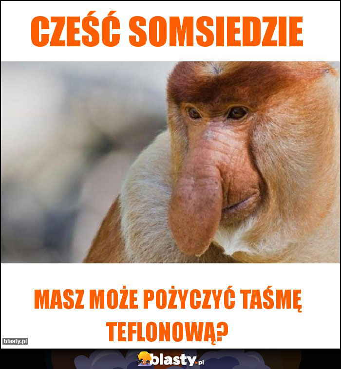 Cześć somsiedzie