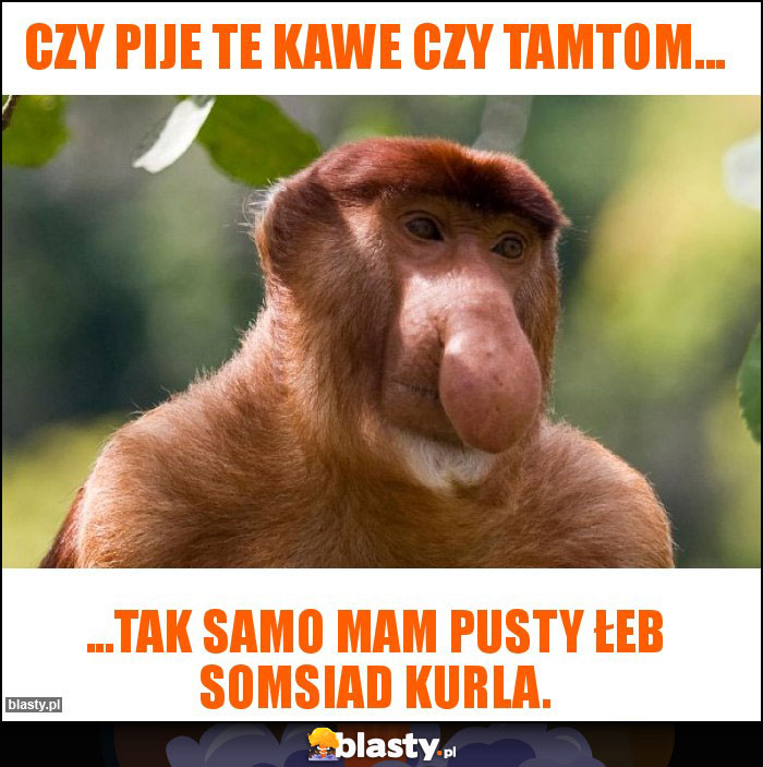 Czy pije te kawe czy tamtom...