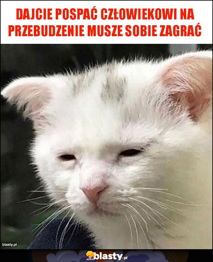 dajcie pospać człowiekowi na przebudzenie musze sobie zagrać