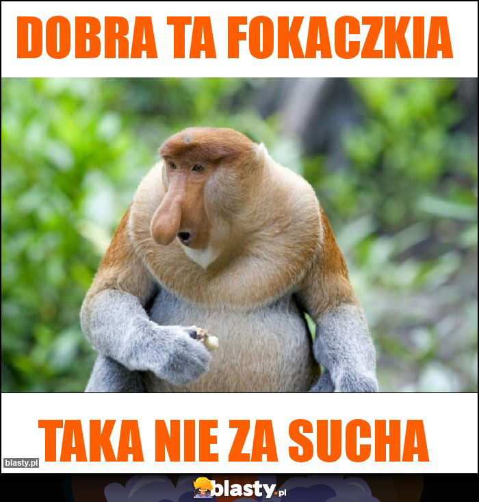 Dobra ta fokaczkia