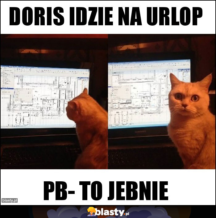 Doris idzie na urlop