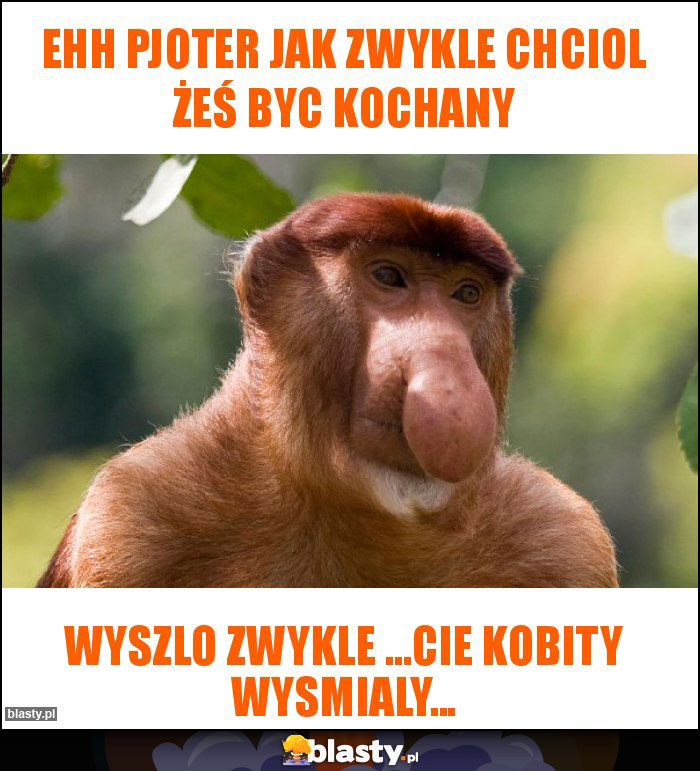 Ehh Pjoter jak zwykle Chciol żeś byc KOCHANY