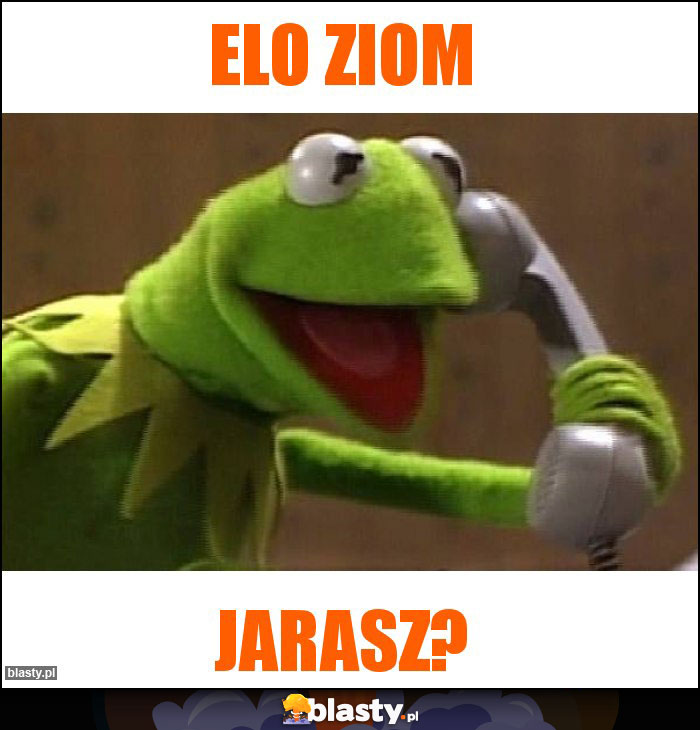 Elo ziom