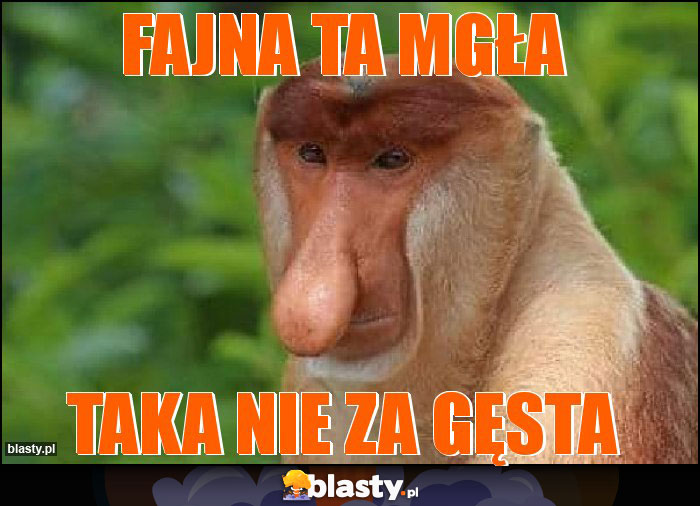 Fajna ta mgła