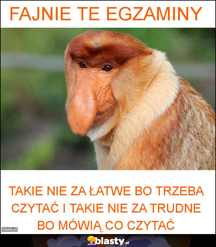 Fajnie te egzaminy