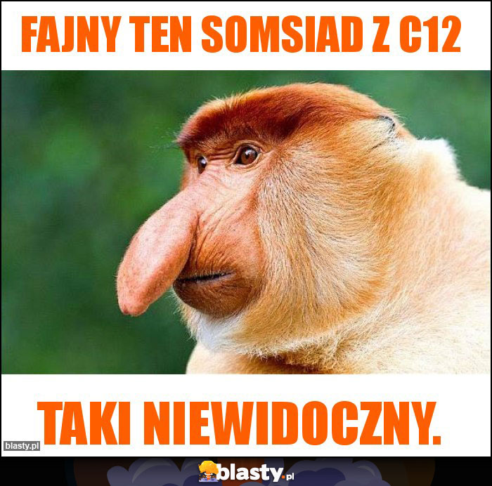 Fajny ten somsiad z c12