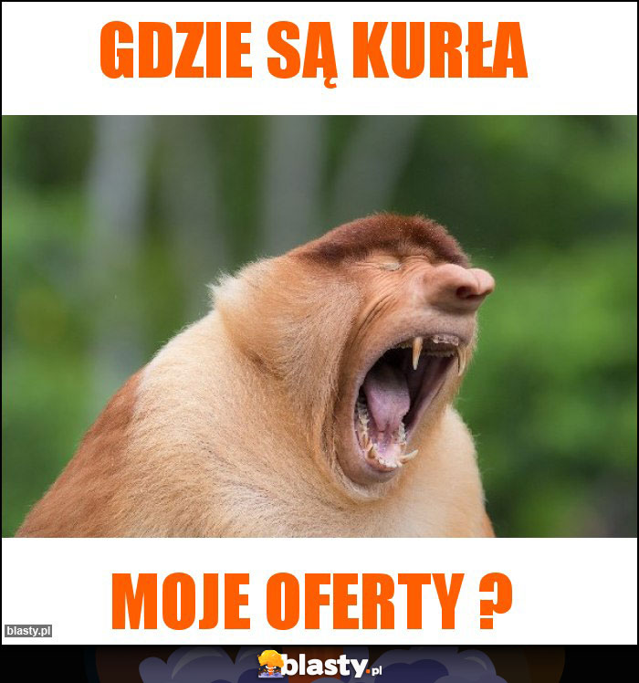 gdzie są kurła