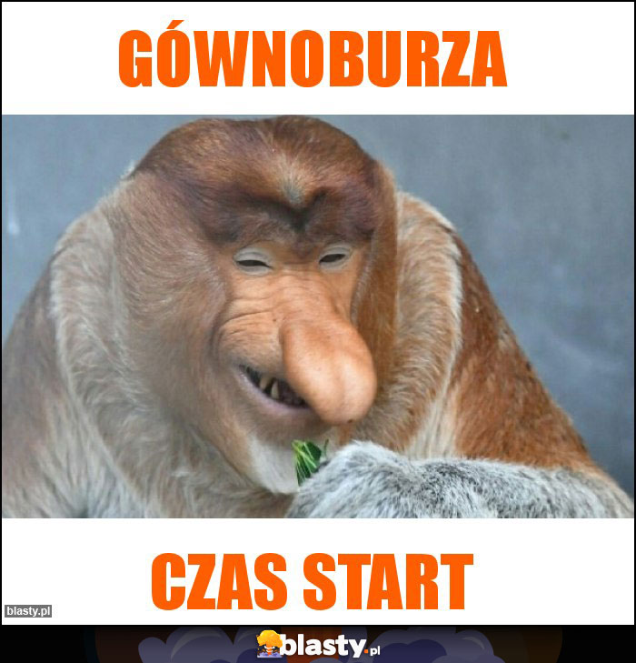 Gównoburza