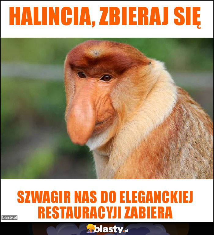 halincia, zbieraj się