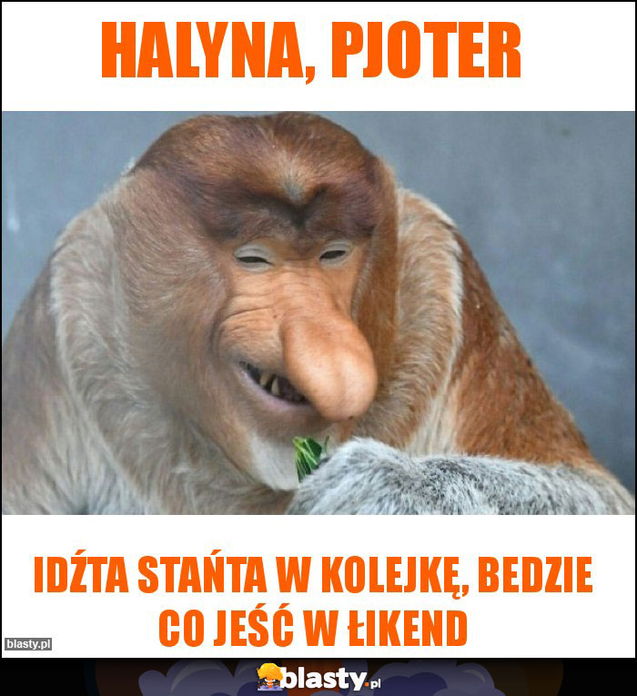 Halyna, Pjoter