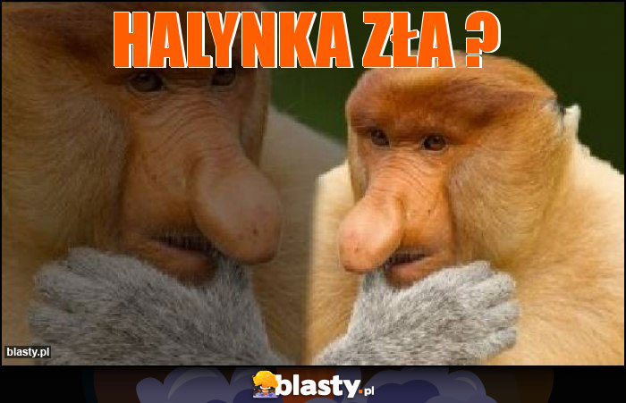 halynka zła ?