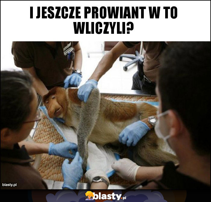 I jeszcze prowiant w to wliczyli?