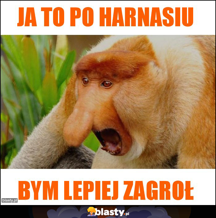 Ja to po harnasiu