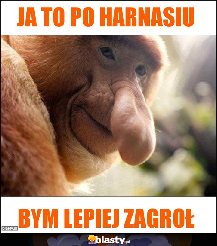 Ja to po harnasiu