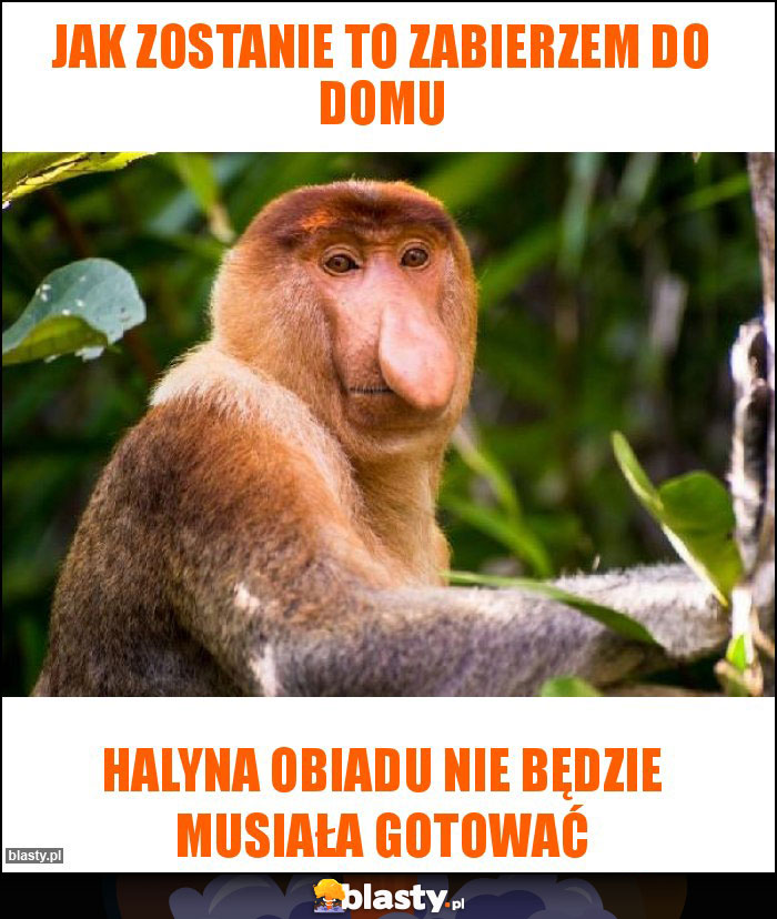 Jak zostanie to zabierzem do domu