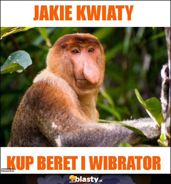 Jakie kwiaty