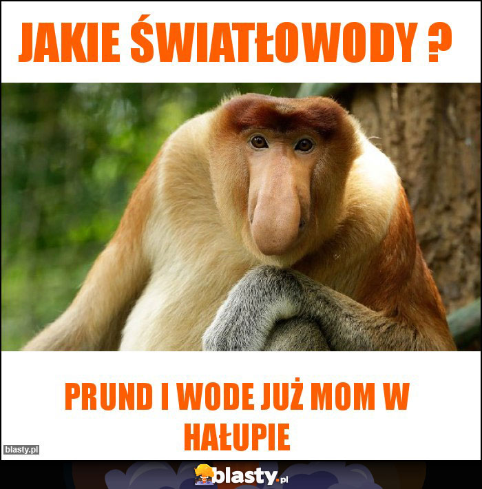 Jakie światłowody ?