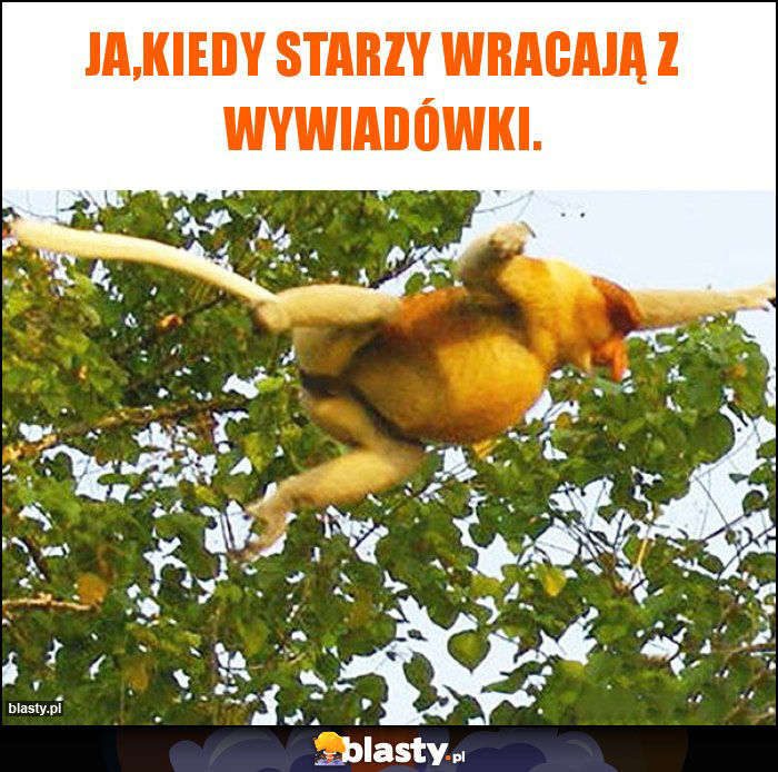 Ja,kiedy starzy wracają z wywiadówki.