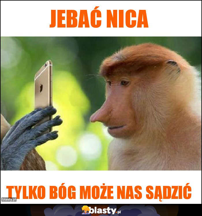 JEBAĆ NICA