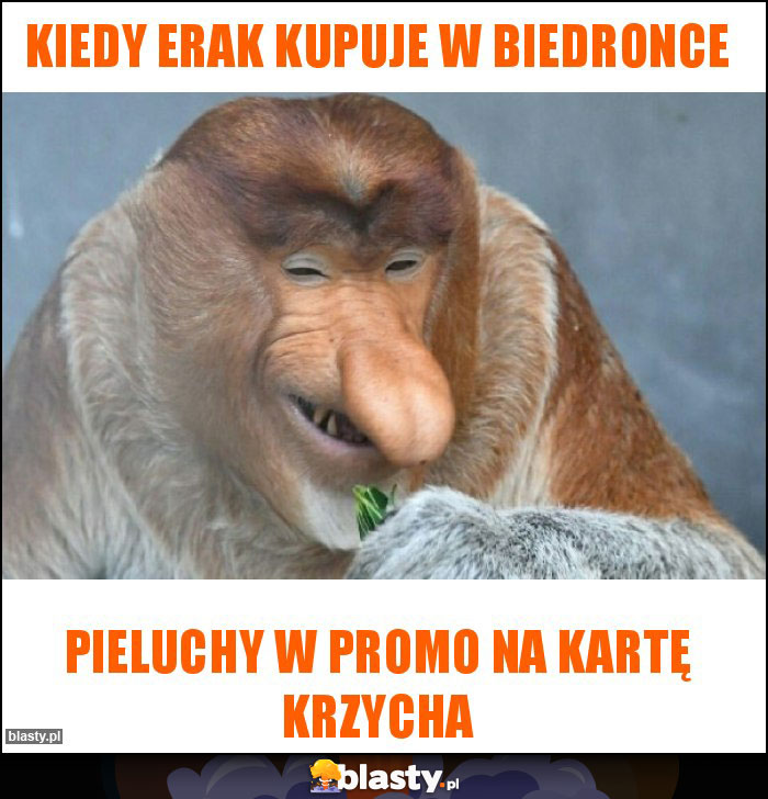 Kiedy erak kupuje w biedronce