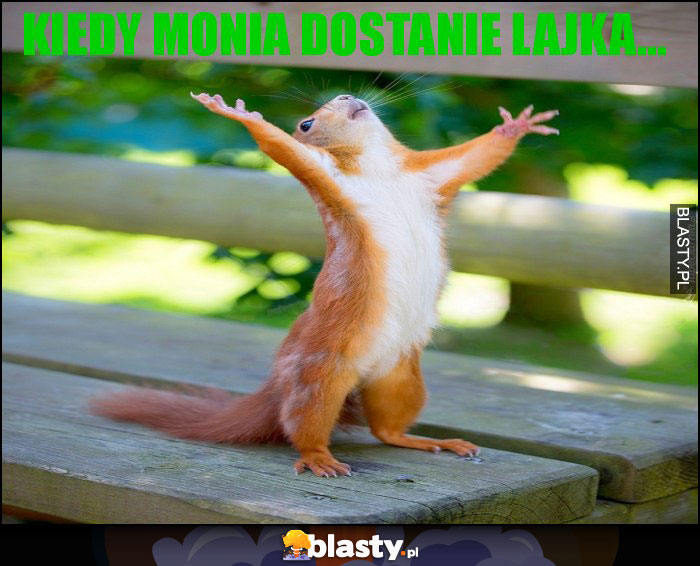 Kiedy Monia dostanie lajka...