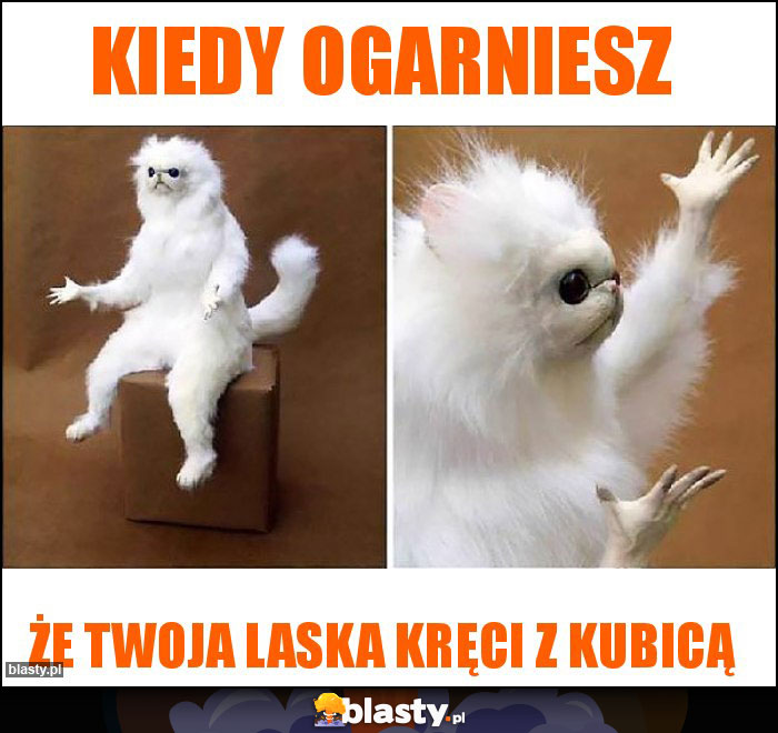 Kiedy ogarniesz