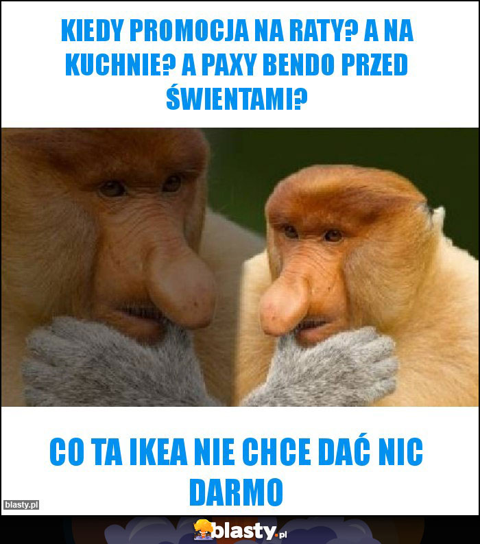 Kiedy promocja na raty? A na kuchnie? A paxy bendo przed świentami?