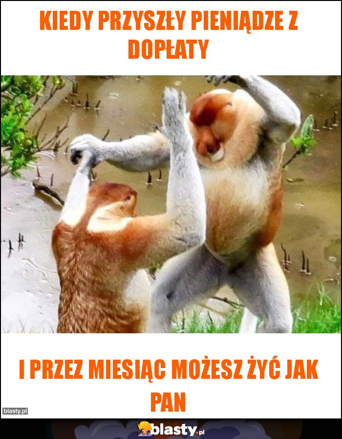 Kiedy Przyszły pieniądze z dopłaty